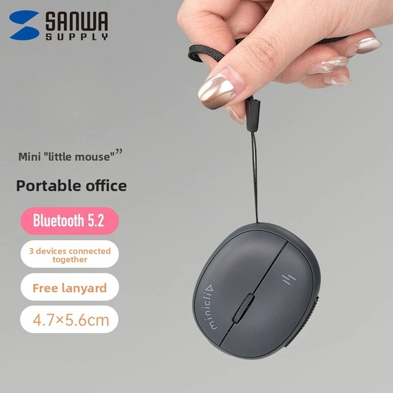 Custom SANWA Miniatuur Mini Mu - Laser Pointer Presenter recensie en prijs